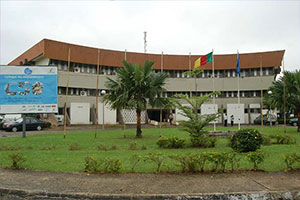 UNIVERSITE DE DOUALA
